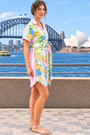 Kathy Button Down Shirt Dress
