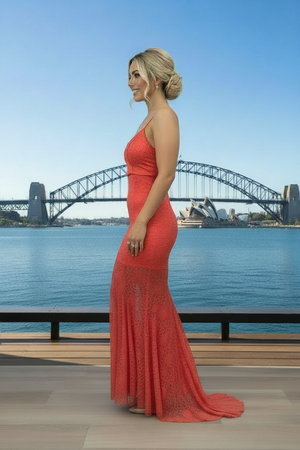 Lara Lace Corset Gown