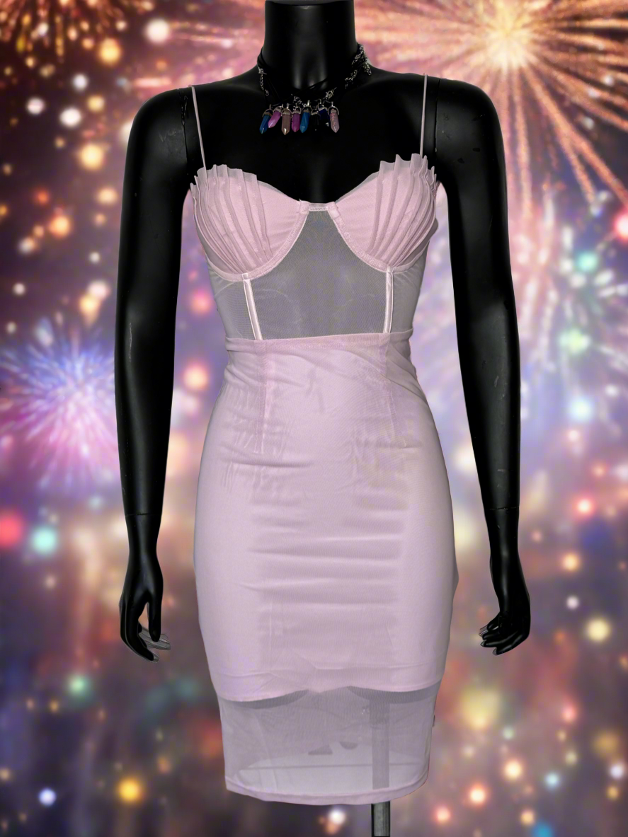 Corset Bodycon Mini Party Dress in Pink Mesh