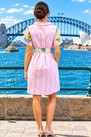 Kathy Button Down Shirt Dress